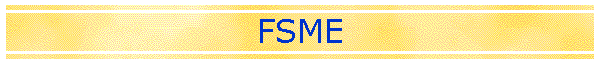 FSME