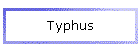 Typhus